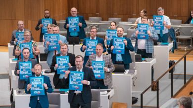 Grüne, SPD und CDU halten der AfD in der Energiedebatte einen „Kulturkampf“ vor