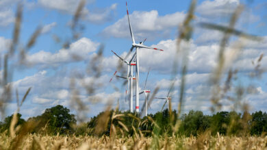 Windkraft-Branche kritisiert: Niedersachsen bleibt weit unter seinen Möglichkeiten