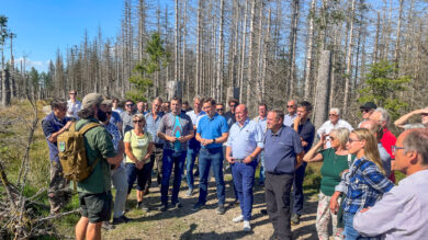 CDU will mehr Touristen in den Harz locken – doch die Angst vor der „Verballermannisierung“ wächst