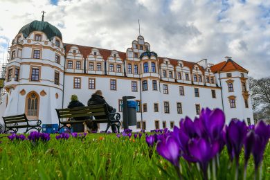 Exklusiv: Deutsche Management-Akademie steht offenbar vor dem Aus