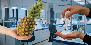 Papier aus Ananas: Startup geht neue Wege in der Zellstoffproduktion