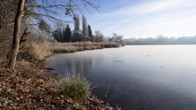 Die Woche in Niedersachsen (KW 09)