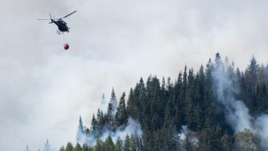 Pistorius: Haben keine Hubschrauber, die einen Großbrand im Harz löschen könnten