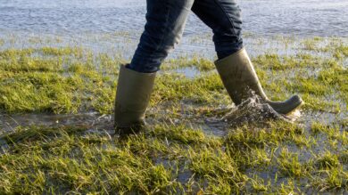 TagesKolumne: Gummistiefel-Land Nummer Eins