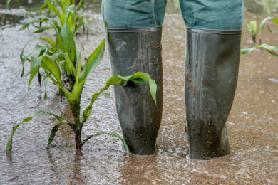 Landwirte können ab sofort Anträge auf Hochwasserhilfe stellen