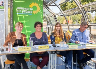 Grüne wollen Solar-Turbo in Niedersachsen zünden