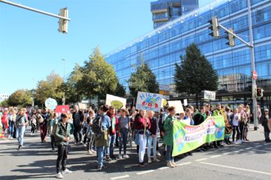 #AlleFürsKlima: So lief die Demo in Hannover