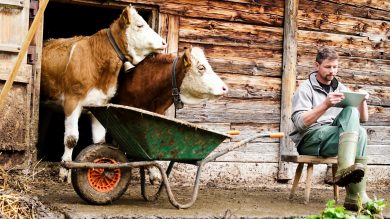 Ersetzt Künstliche Intelligenz bald den Landwirt im Stall?