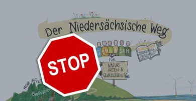 Platzt der „niedersächsische Weg“?