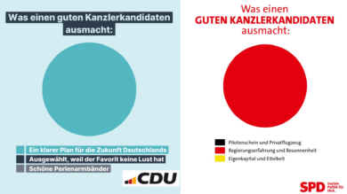 TagesKolumne: Tortenschlacht bei Social Media