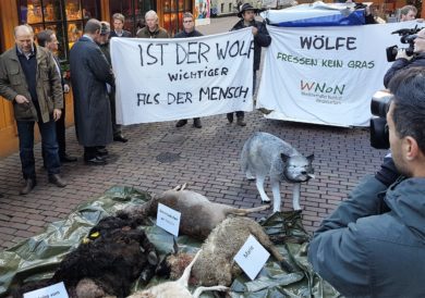 „Wir haben auf Dauer keine Chance, unsere Herden zu schützen“