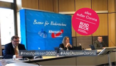 AfD-Fraktion zerbricht und verliert Geld und Parlamentsrechte