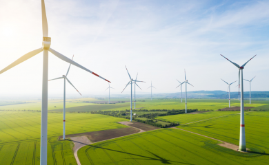 FDP-Chef hadert mit Windkraft-Zielen der Regierung, will aber mehr Erneuerbare Energien